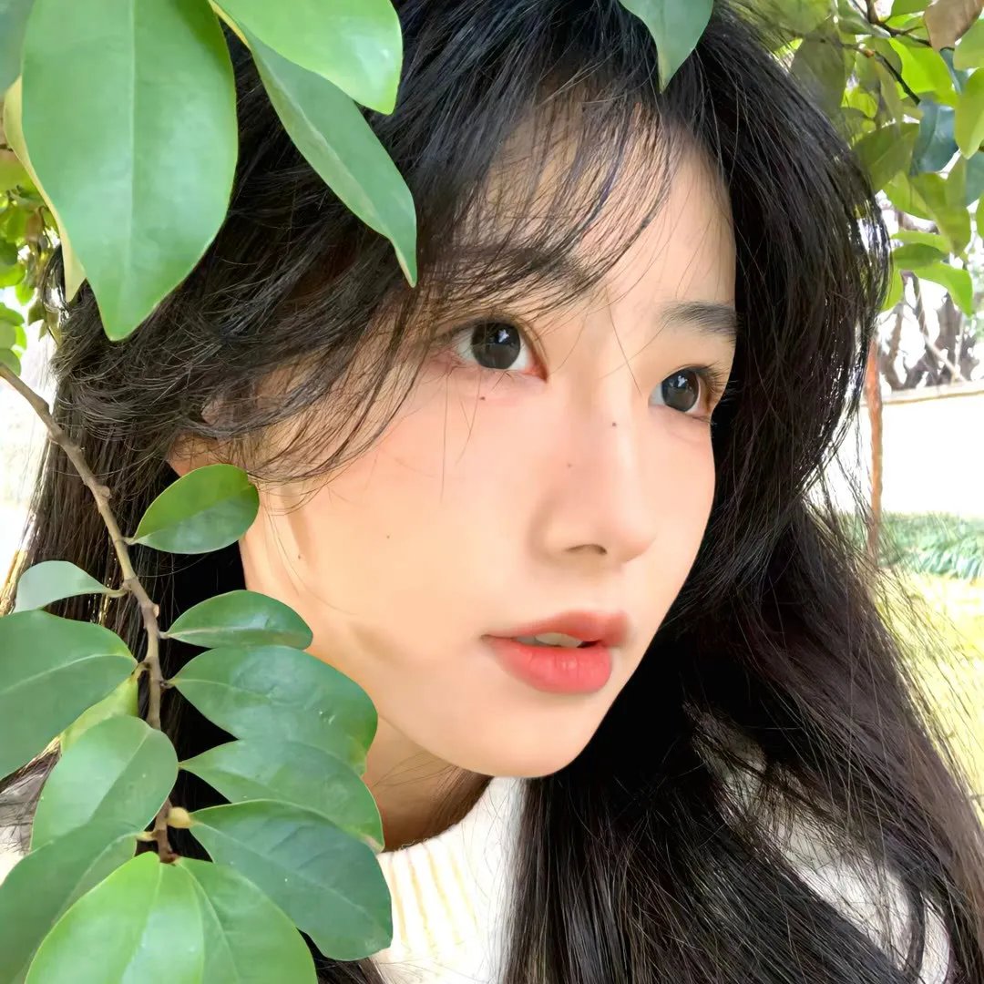 有招没招之爱情达人